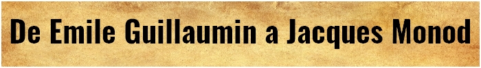 page02.jpg